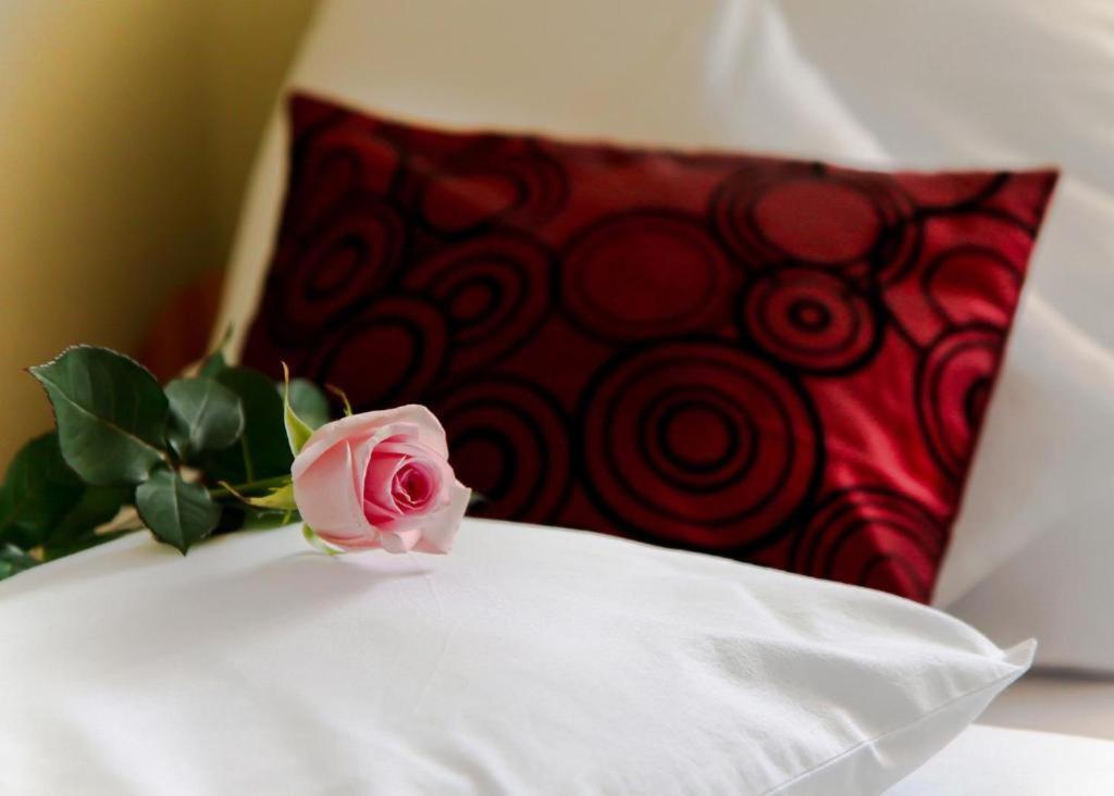 Hotel Cieszynski Centrum Cieszyn  Extérieur photo